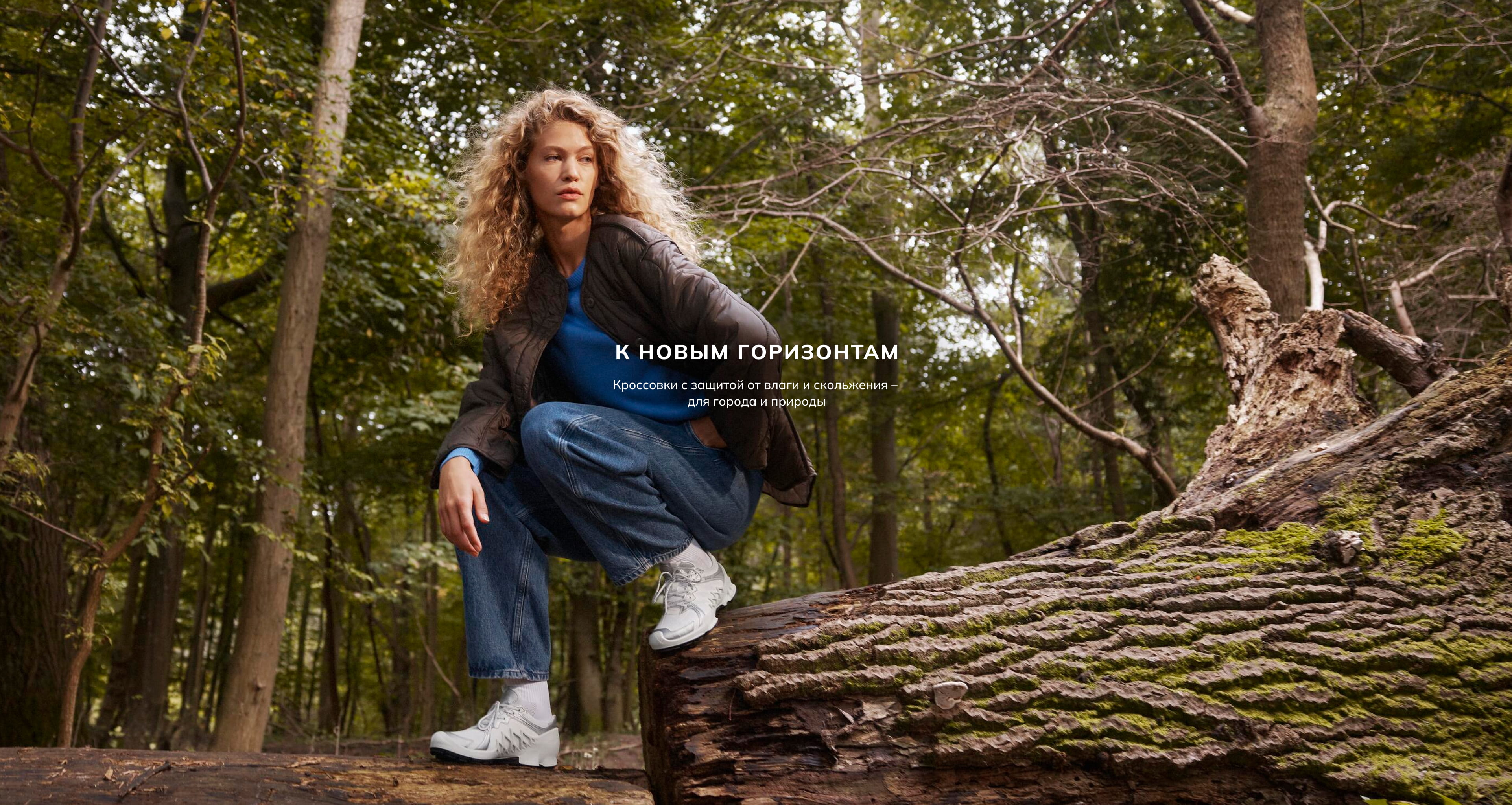 К новым горизонтам