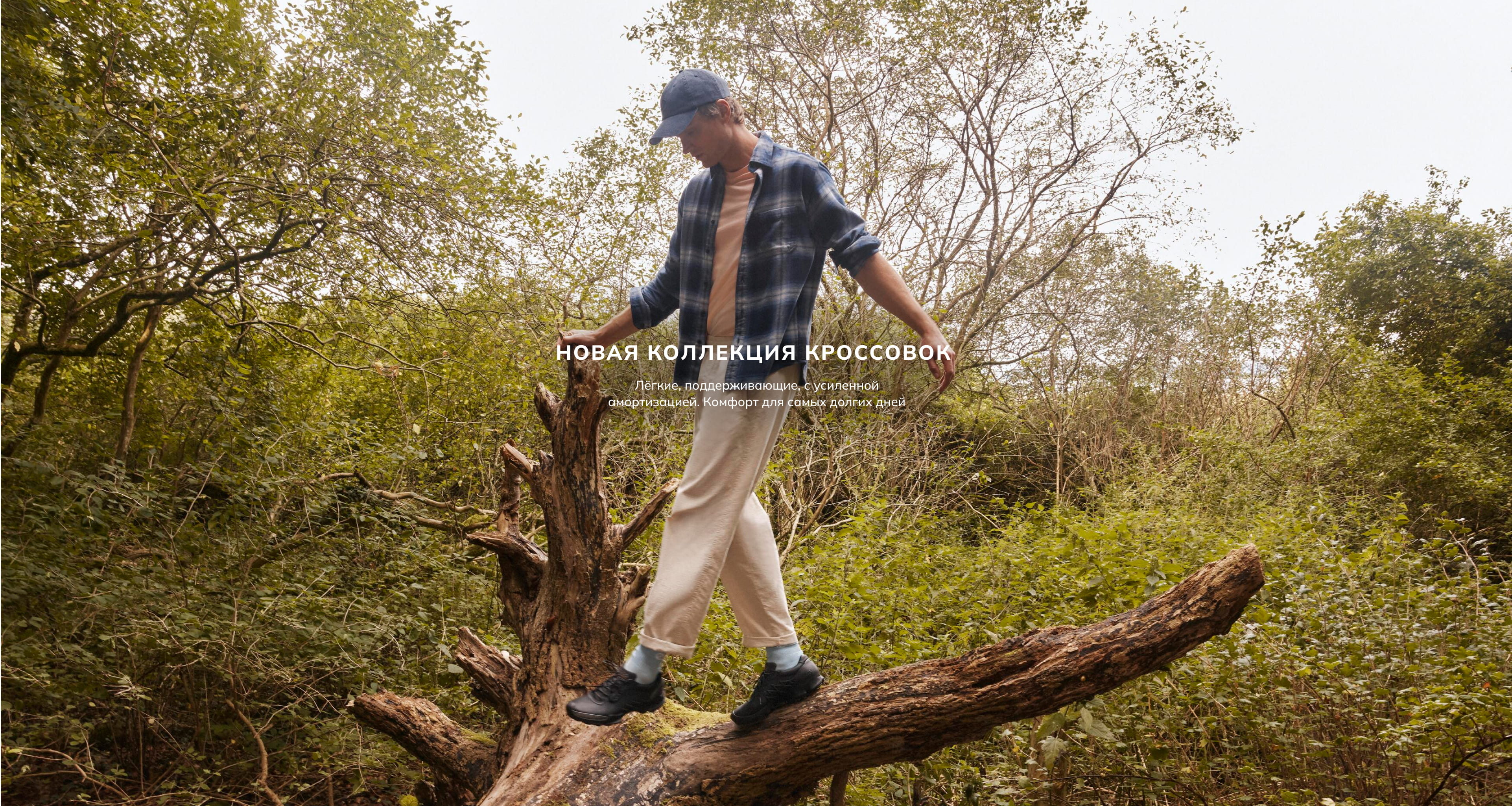 Новая коллекция кроссовок