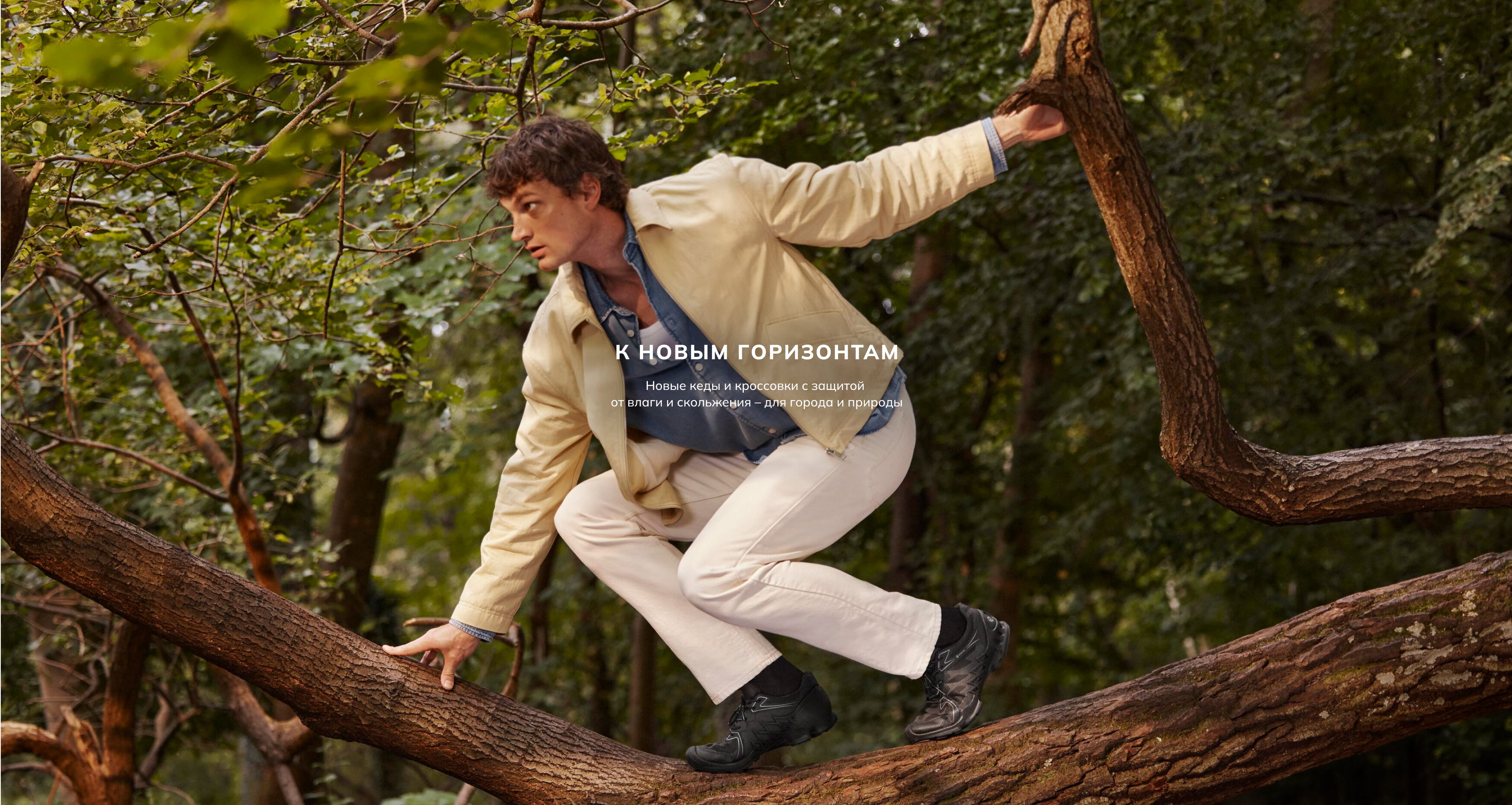 К новым горизонтам