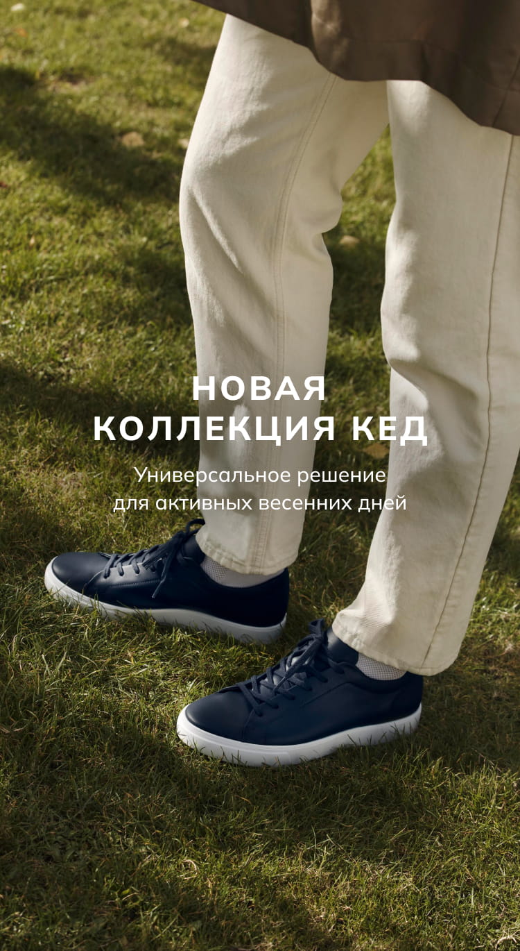 Новая коллекция кед