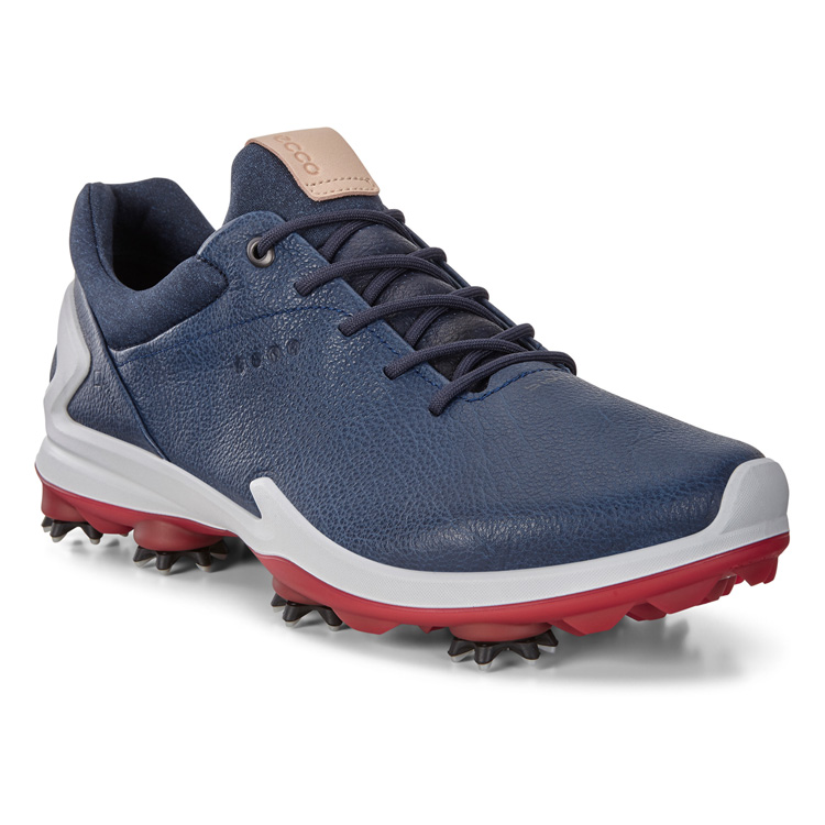 Кроссовки ECCO M GOLF BIOM G3