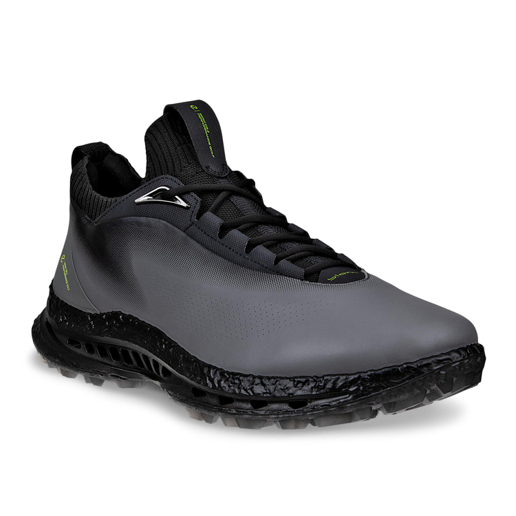 Кроссовки ECCO M GOLF BIOM C5