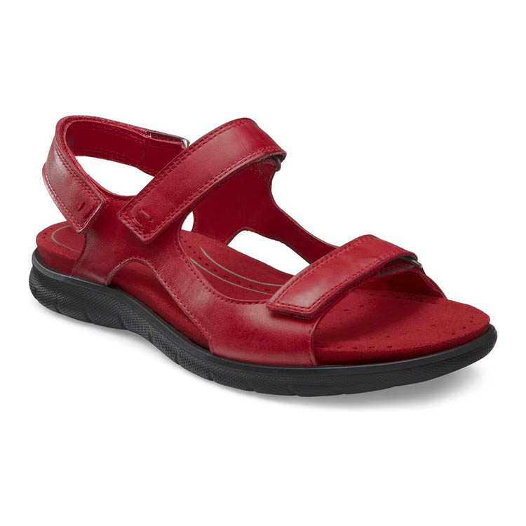Сандалии ECCO BABETT SANDAL