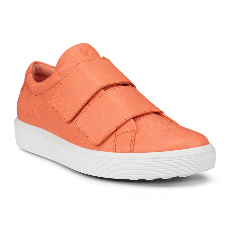 Разноцветный Разноцветный