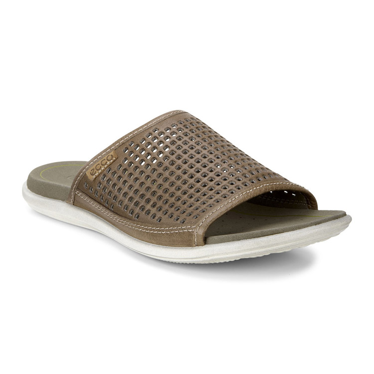 Шлепанцы ECCO COLLIN SANDAL