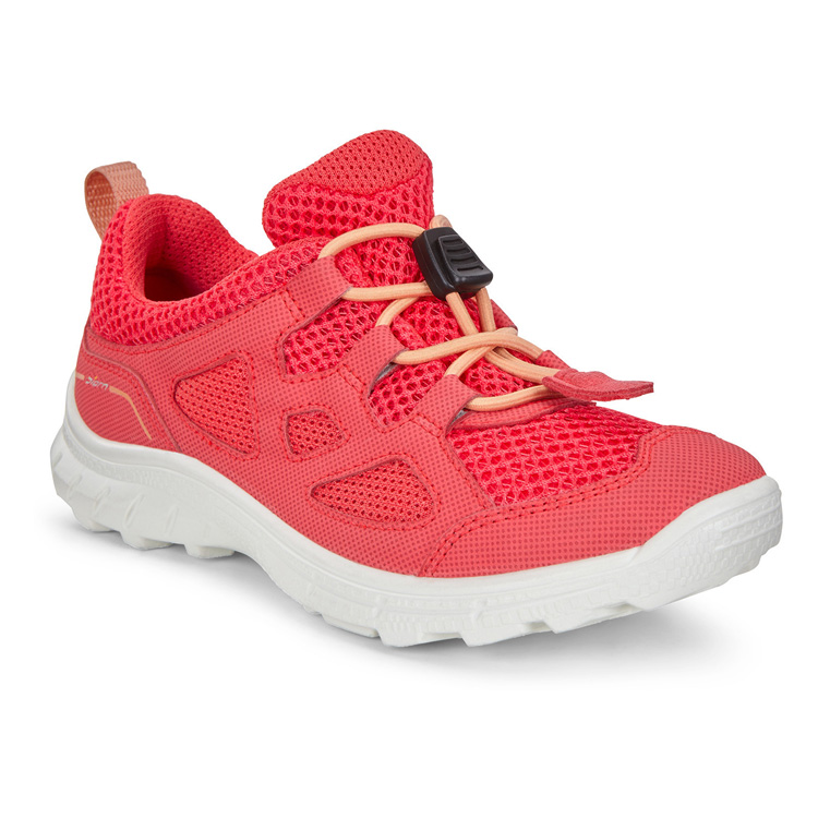 Кроссовки ECCO BIOM TRAIL KIDS