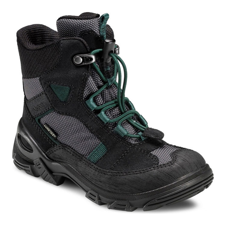 Ботинки ECCO SNOWBOARDER