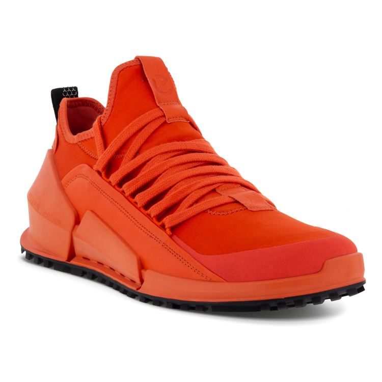 Кроссовки ECCO BIOM 2.0 M