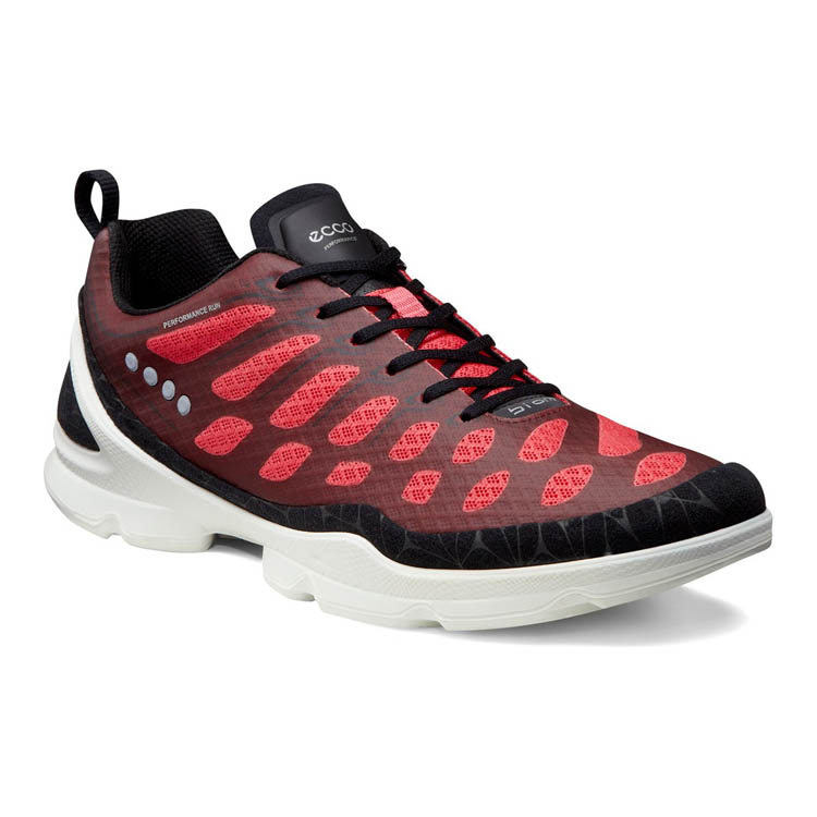 Кроссовки ECCO BIOM EVO RACER