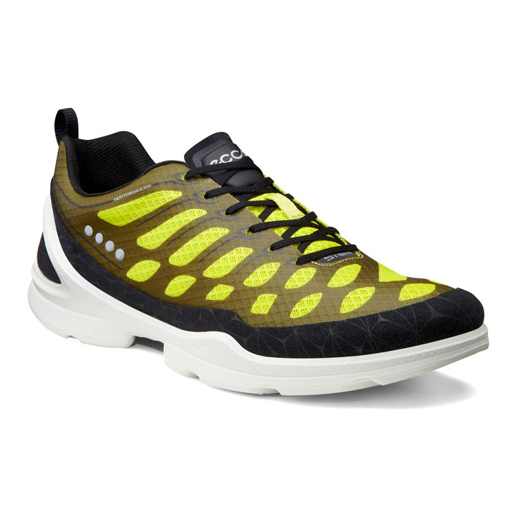 Кроссовки ECCO BIOM EVO RACER