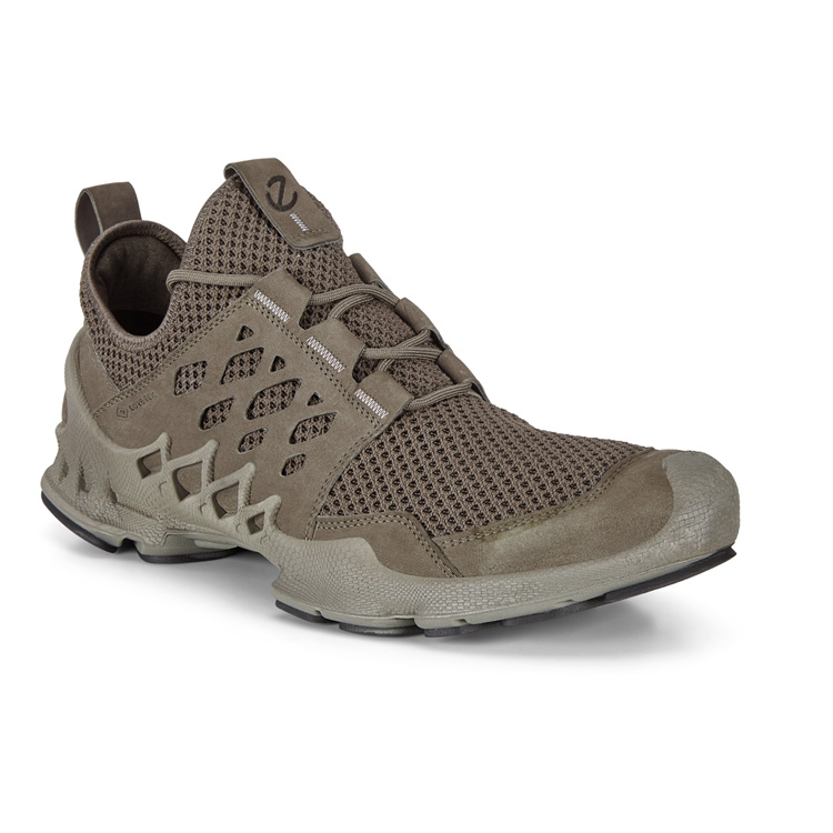 Кроссовки ECCO BIOM AEX M
