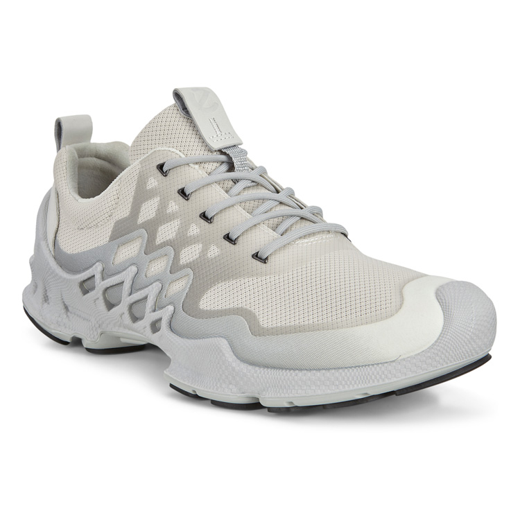 Кроссовки ECCO BIOM AEX M