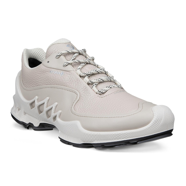 Кроссовки ECCO BIOM AEX W