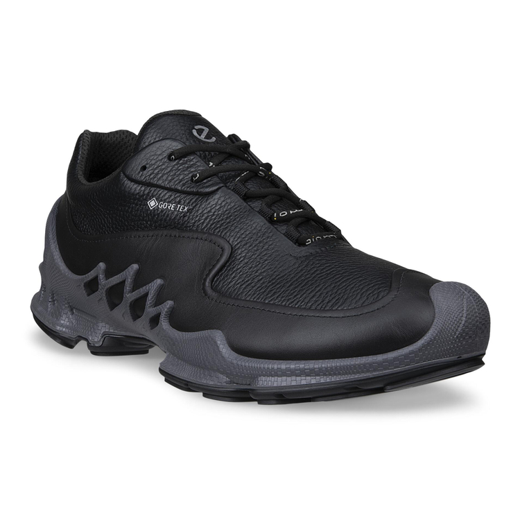 Кроссовки ECCO BIOM AEX M