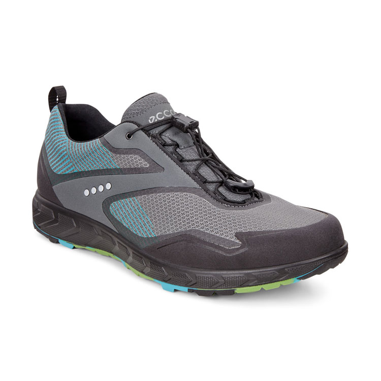 Кроссовки ECCO TERRATRAIL M
