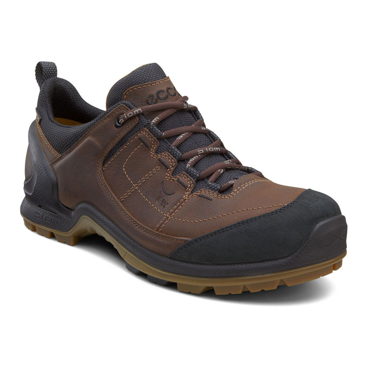 Полуботинки ECCO BIOM TERRAIN