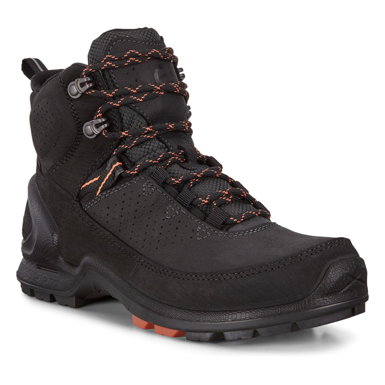 Ботинки ECCO BIOM TERRAIN W