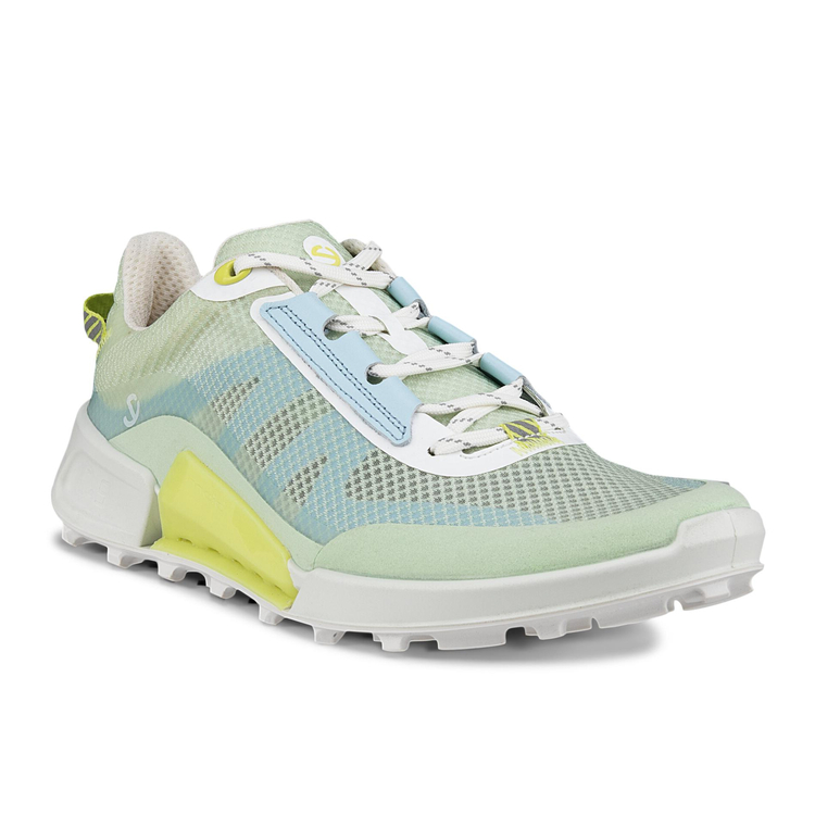 Кроссовки ECCO BIOM 2.1 X MOUNTAIN W