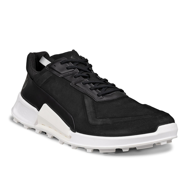 Кроссовки ECCO BIOM 2.1 X MOUNTAIN M