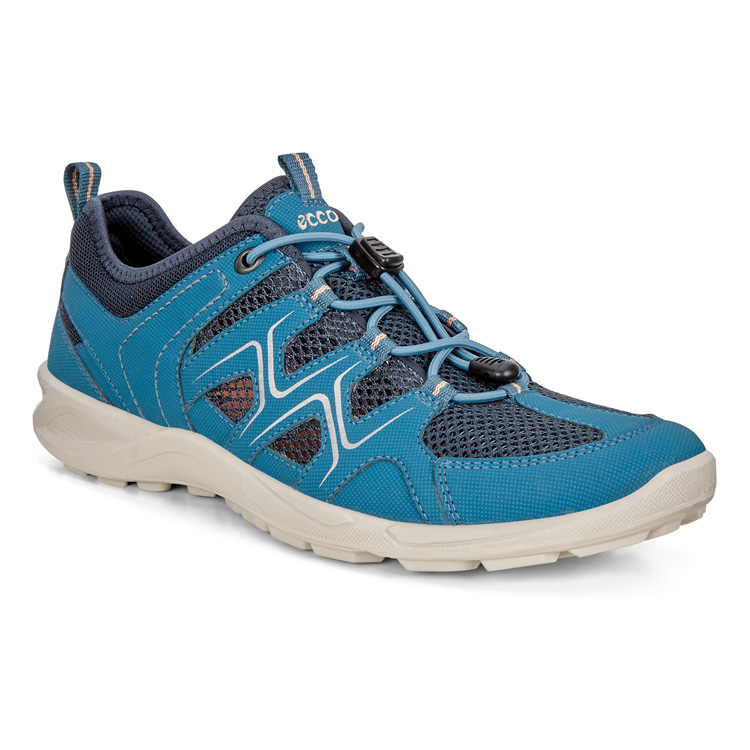 Кроссовки ECCO TERRACRUISE LT W