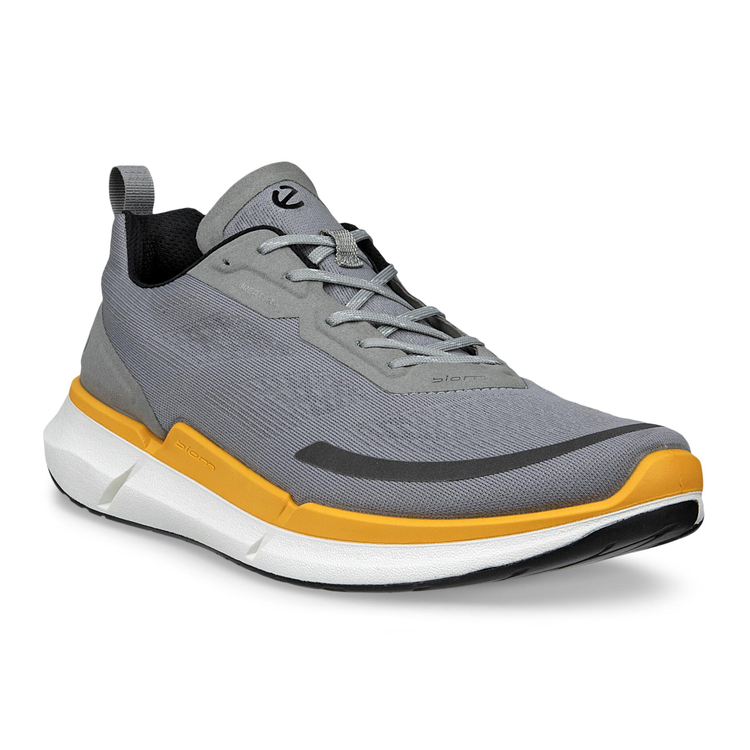 Кроссовки BIOM 2.2 M, серый, арт. 830754/56342