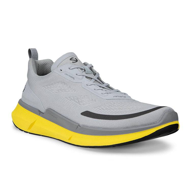 Кроссовки BIOM 2.2 M, серый, арт. 16278