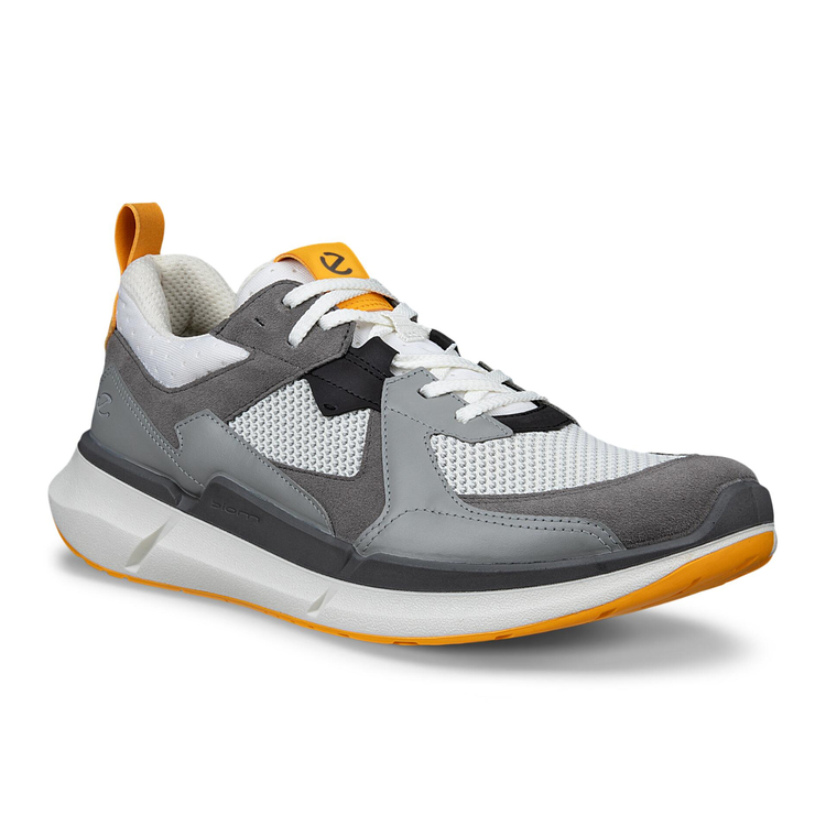 Кроссовки BIOM 2.2 M, разноцветный, арт. 830774/61121