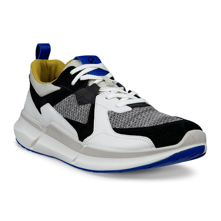 Кроссовки BIOM 2.2 M, разноцветный, арт. 830774/61122