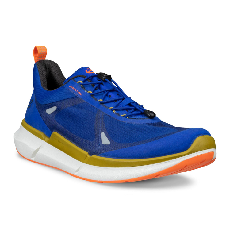 Кроссовки BIOM 2.2 M, синий, арт. 830874/61180