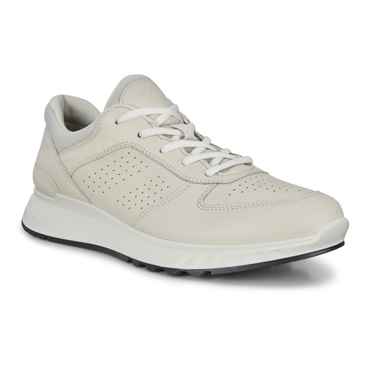 Кроссовки ECCO EXOSTRIDE M