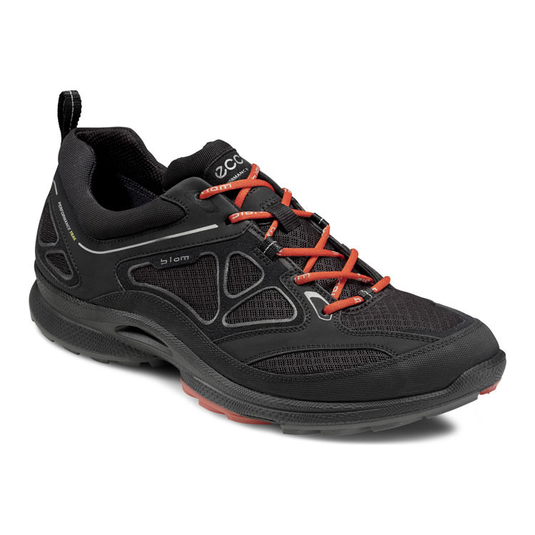 Кроссовки ECCO BIOM ULTRA