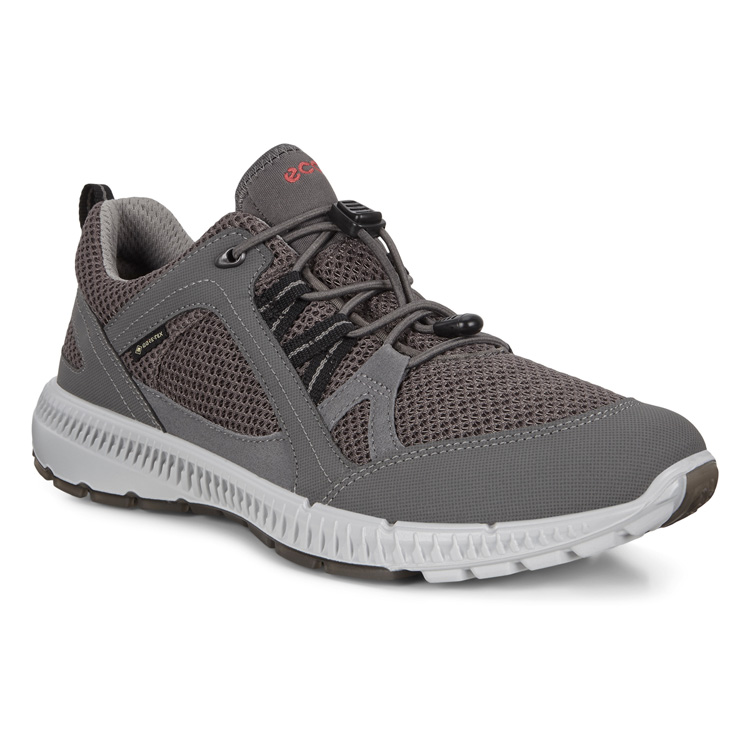 Кроссовки ECCO TERRACRUISE II W