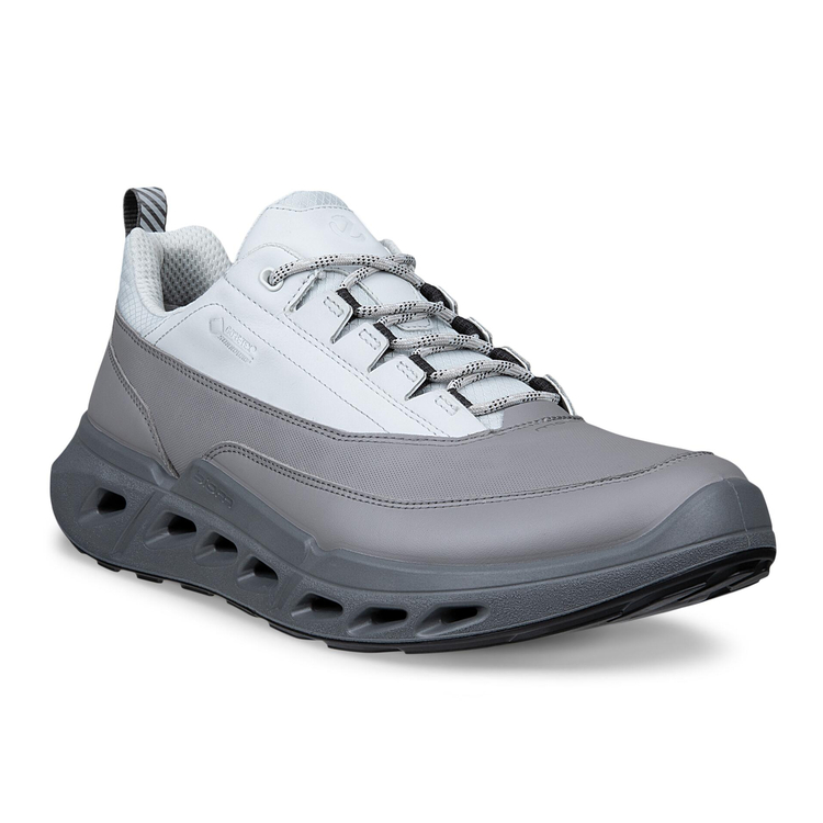 Кроссовки ECCO BIOM 720 M, серый, арт. 850304/60512