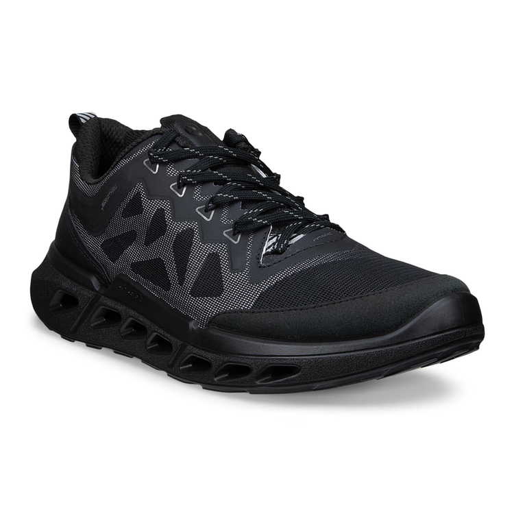 Кроссовки ECCO BIOM 720 W