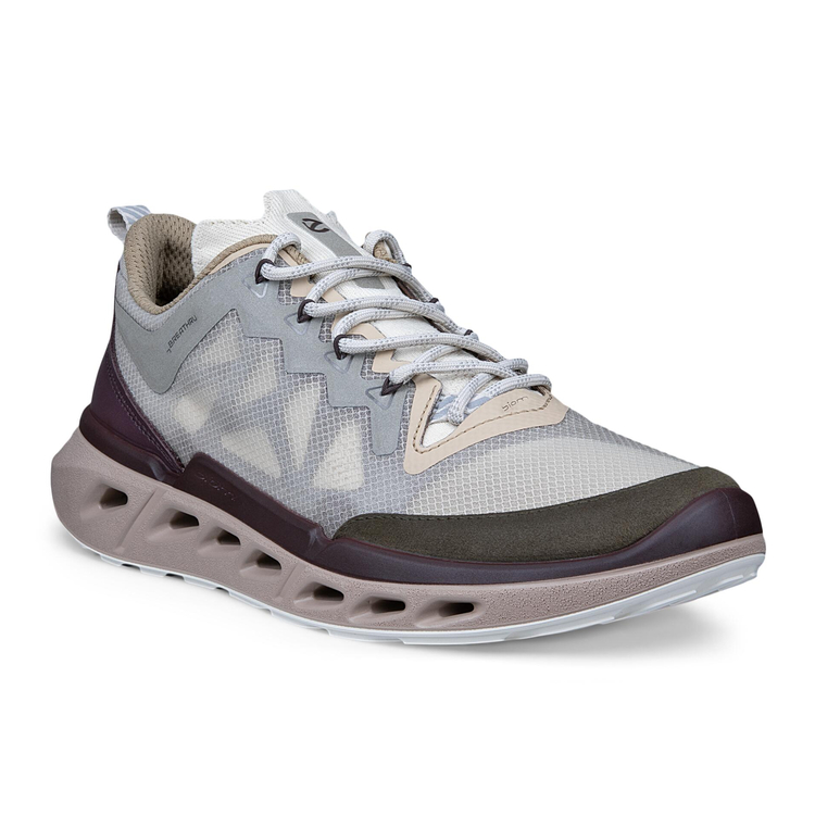 Кроссовки ECCO BIOM 720 W