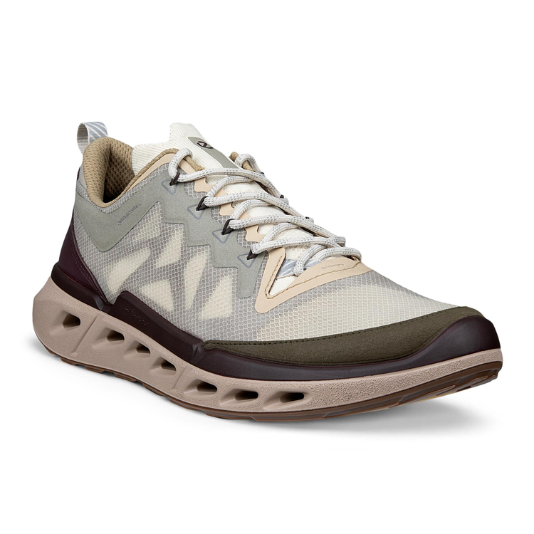 Кроссовки ECCO BIOM 720 M