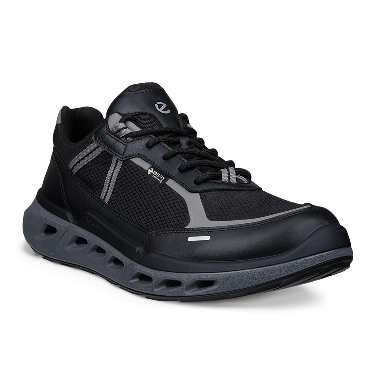 Кроссовки ECCO BIOM 720 M