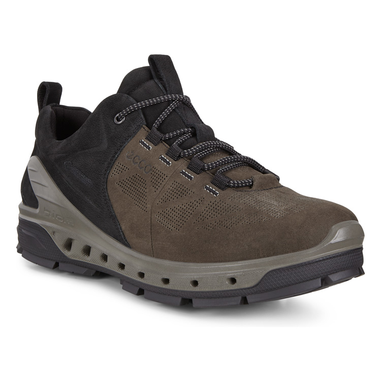 Кроссовки ECCO BIOM VENTURE TR M