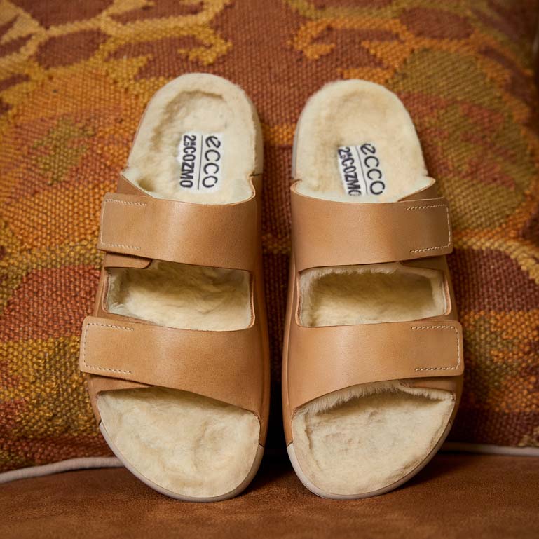 Домашняя обувь ECCO COZMO SANDAL W 215303/02211 Домашняя обувь ECCO COZMO SANDAL W 215303/02211