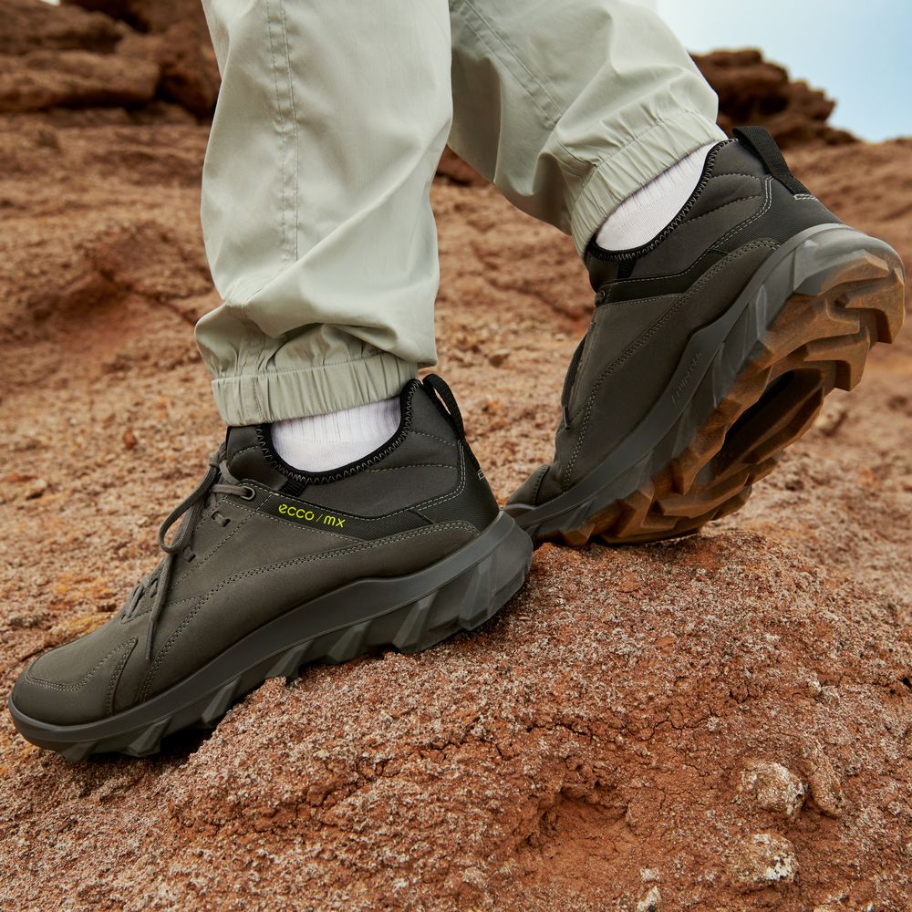 Кроссовки ECCO MX M 820184/02001 Кроссовки ECCO MX M 820184/02001