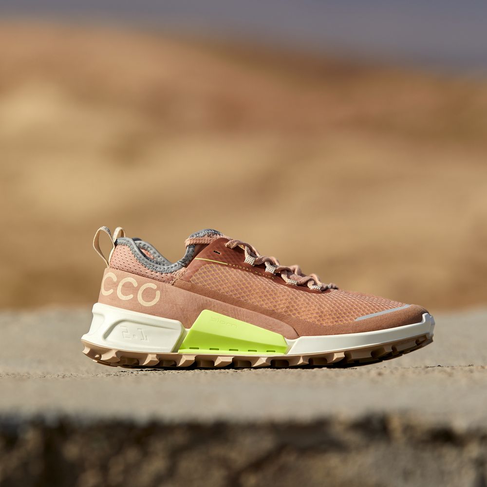 Кроссовки ECCO BIOM 2.1 X COUNTRY W 822803/60265