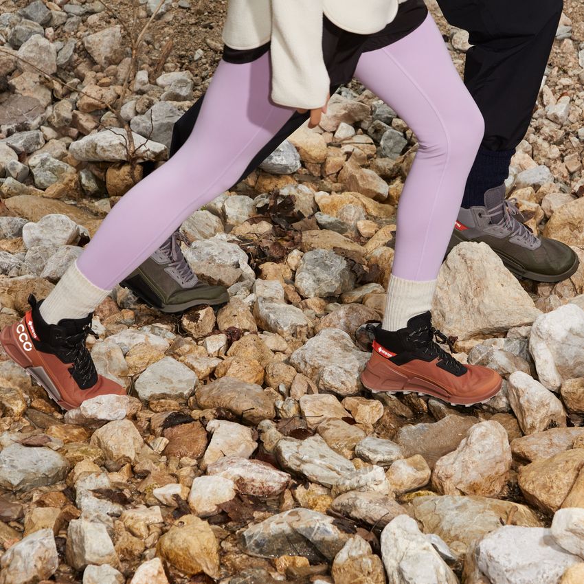 Ботинки ECCO BIOM 2.1 X MOUNTAIN W 823803/60440