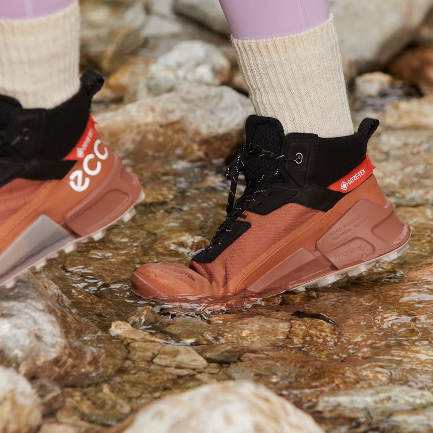 Ботинки ECCO BIOM 2.1 X MOUNTAIN W 823803/60440