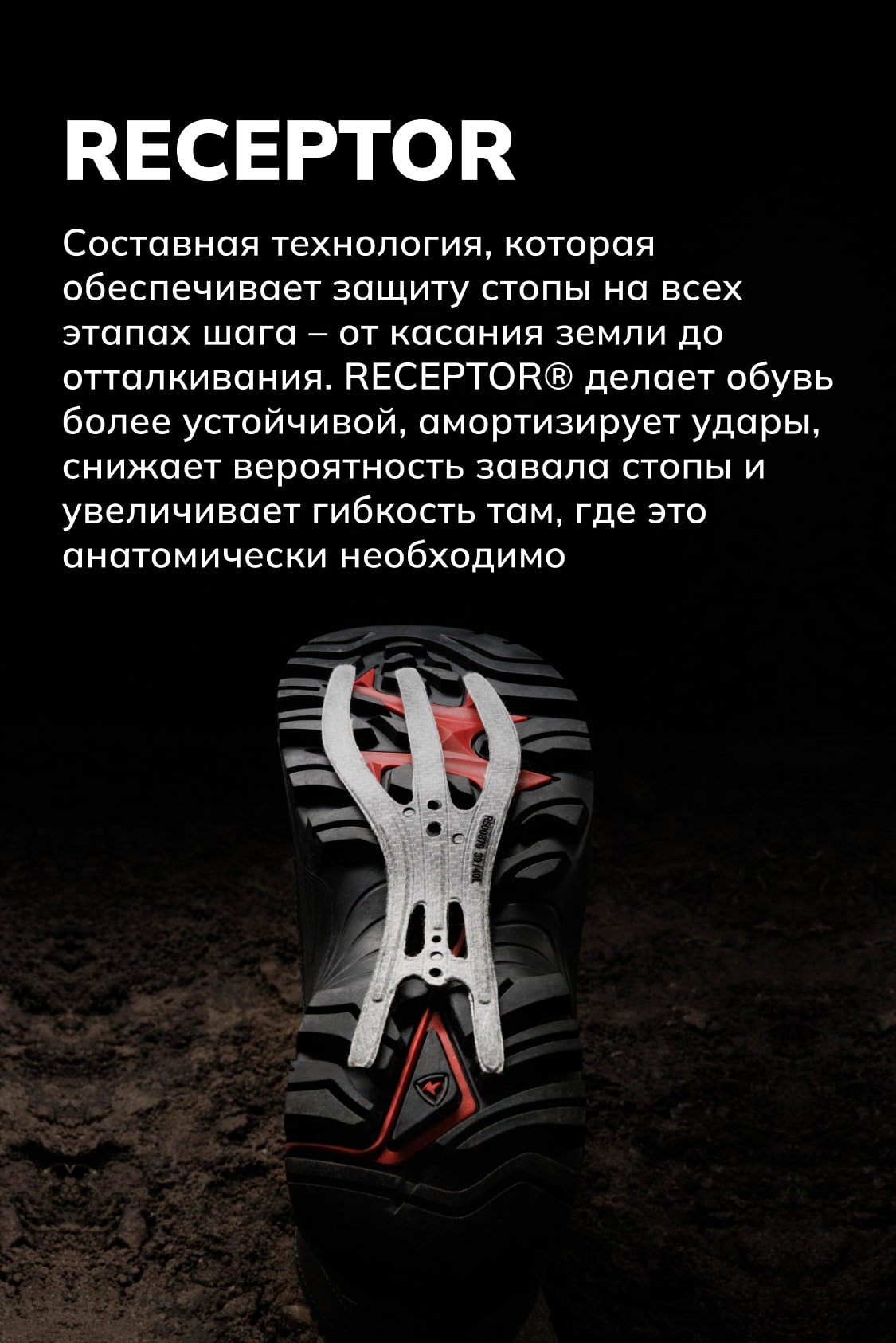 RECEPTOR