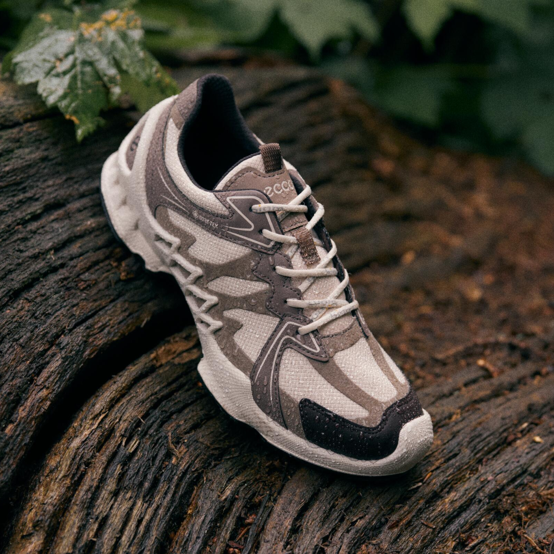 Кроссовки ECCO BIOM AEX W 802883/61800