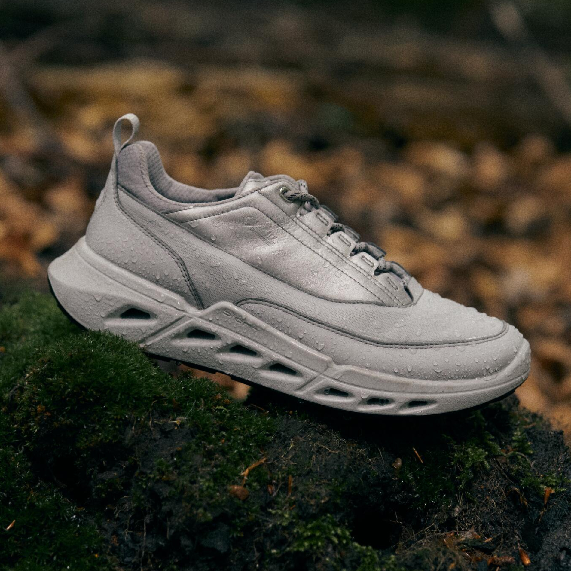 Кроссовки ECCO BIOM 720 W 850303/61795