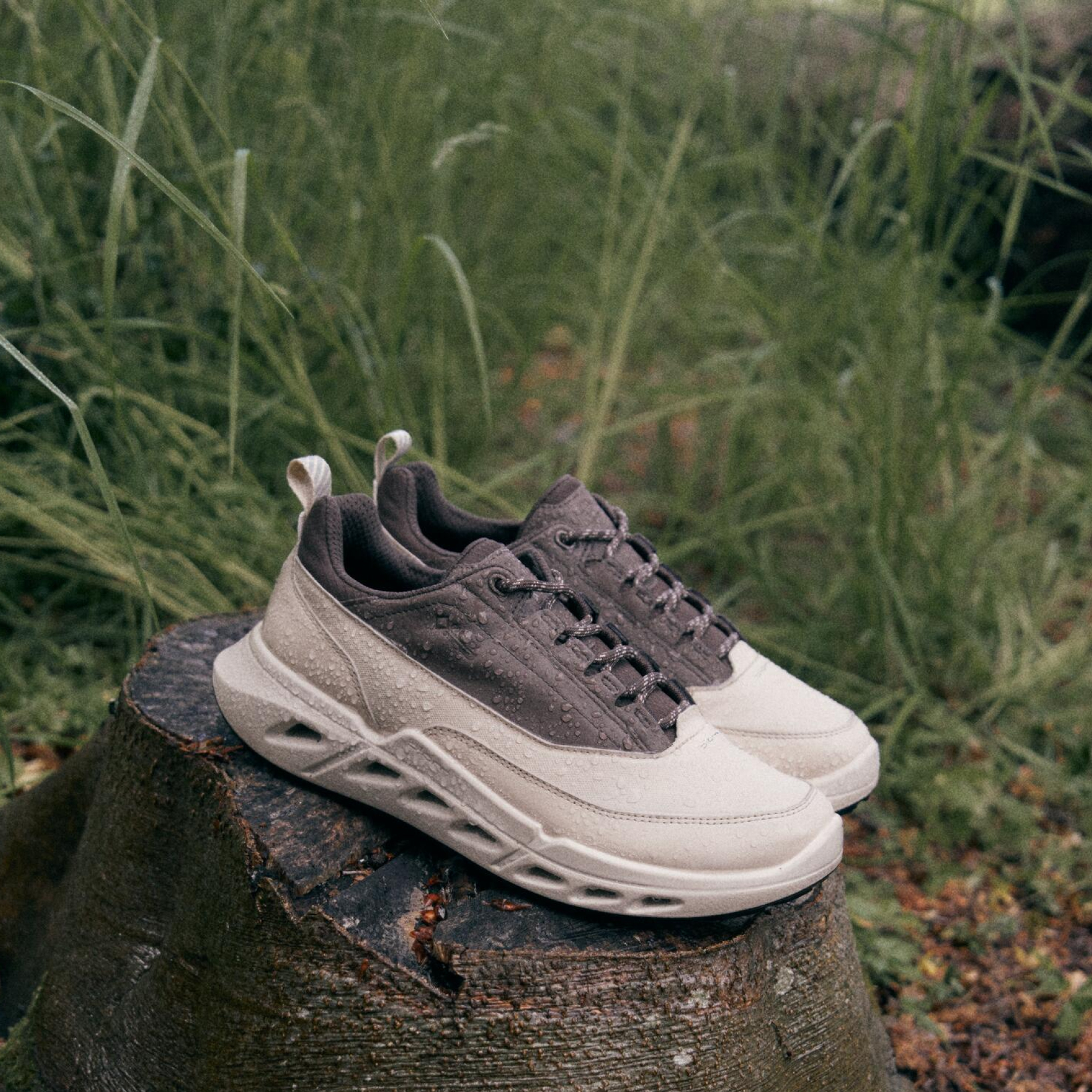 Кроссовки ECCO BIOM 720 W 850303/61956